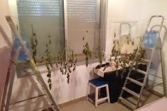 Τον συνέλαβαν στη Νέα Μηχανιώνα Θεσσαλονίκης για δενδρύλλια κάνναβης και πλήθος αρχαίων αντικειμένων