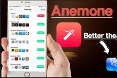 Anemone :  Η καλύτερη εναλλακτική του winderboard