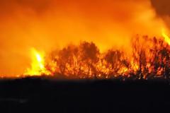 Τέθηκε υπό έλεγχο την πυρκαγιά στο δάσος της Στροφυλιάς - Παραμένουν επί τόπου δυνάμεις
