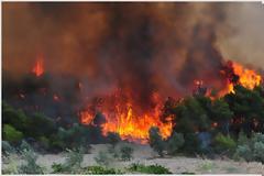 Yψηλός κίνδυνος πυρκαγιάς για Αχαΐα και Ηλεία σήμερα Σάββατο