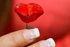 Ξέρετε τι μαρτυρούν τα νύχια για την κατάσταση της υγείας σας; [photo]