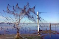 ΑΠΙΣΤΕΥΤΟ: Αράχνες σκεπάζουν ένα ολόκληρο χωριό... [photos]