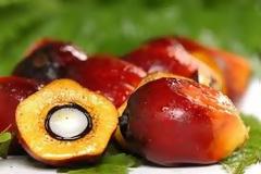 Το φοινικέλαιο κάνει θαύματα στον οργανισμό μας