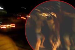 ΣΟΚ: Άρχισαν να συγκρούονται και σφάζονται οι λαθρομετανάστες μεταξύ τους [video]