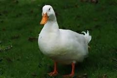 Αυτό το ήξερες; Από που έχει βγει η φράση - 