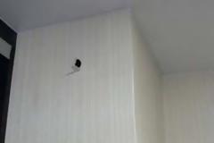 Δεν θα ΠΙΣΤΕΥΕΤΕ στα μάτια σας, τι είναι αυτό στον τοίχο… [photos]