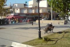 Κάτω Αχαΐα: Αντιδράσεις προκαλεί η σφαγή ζώων σε κοινή θέα