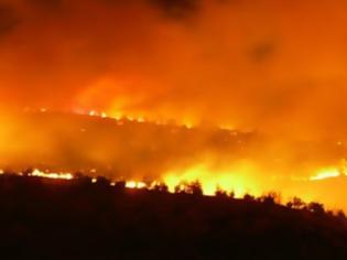 Φωτογραφία για Μόλις το 10% των πυρκαγιών της Ελλάδας την τελευταία 15ετία οφείλονται σε φυσικά αίτια