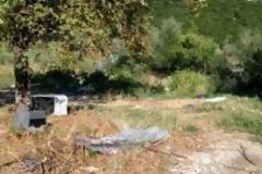 Καταγγελία κατοίκων: Για άλλη μια φορά παρατημένη στο έλεος ,η περιοχή του Αχέροντα... [photo]