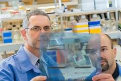 Έλληνας ερευνητής ανακάλυψε τον τρόπο μετατροπής των καρκινικών κυττάρων σε υγιή