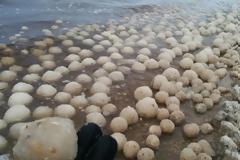 Παράξενα πράγματα που έχουν βρεθεί σε παραλίες….Το Νο.16 θα σας φρικάρει [photos]