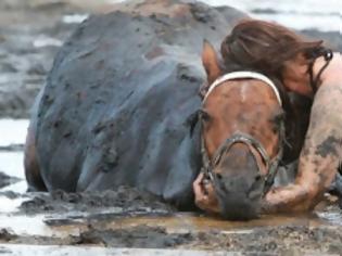 Φωτογραφία για Ήταν απελπισμένη, το άλογό της πνιγόταν... Αυτό που έκανε όμως ήταν εκπληκτικό