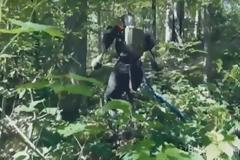 Άτλας: Το ρομπότ 