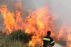 Πυρκαγιά κοντά στον αρχαιολογικό χώρο των Αβδήρων Ξάνθης