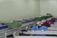 Αγρίνιο: Πρόσληψη εργατών στον Α.Σ. 