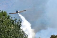 Πυρκαγιά σε δασική έκταση στη Φυλή