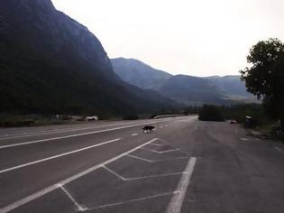 Φωτογραφία για Πατρών - Κορίνθου: Aυτός ο δρόμος πότε θα γίνει; Δείτε την αναλυτική πρόοδο των έργων στους 5 αυτοκινητόδρομους με παραχώρηση