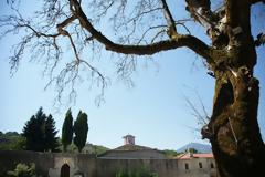 Ξεράθηκε ο ιστορικός πλάτανος της Μονής Παλιουρής στην παλαιά εθνική οδό Ηγουμενίτσας-Ιωαννίνων...