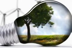 Ηλεκτρική ενέργεια από φρούτα, δέντρα… και αγελάδες