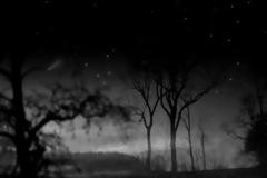 Δύο άντρες τη ρώτησαν αν μπορούσαν να περάσουν εκεί το βράδυ - Δείτε τι έγινε στη συνέχεια...