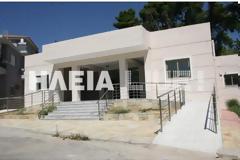 Ηλεία: Πάγωσε η μεταφορά του δήμου Ανδρίτσαινας – Κρεστένων σε νέο κτήριο