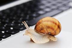 Σέρνεται το   internet σας; Κάντε αυτό το κόλπο και θα δείτε... [video]