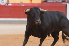 Ισπανία: 60χρονος νεκρός από χτύπημα ταύρου σε φεστιβάλ