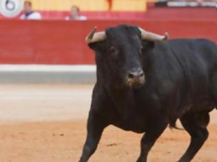 Φωτογραφία για Ισπανία: 60χρονος νεκρός από χτύπημα ταύρου σε φεστιβάλ