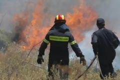 Μαίνεται η φωτιά στη Φωκίδα - Σε ύφεση η πυρκαγιά στην Αχαΐα