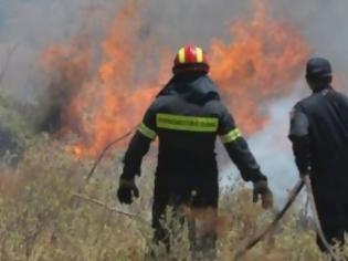 Φωτογραφία για Μαίνεται η φωτιά στη Φωκίδα - Σε ύφεση η πυρκαγιά στην Αχαΐα