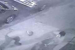 Το άγριo ξύλo στον δρόμο έχει ένα τρομερό φινάλε που σίγουρα δεν φανταζόσασταν... [video]