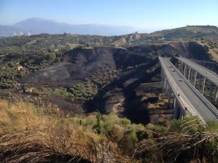 Φωτογραφία για Πάτρα: Κάηκαν 9 στύλοι της ΔΕΗ από τη φωτιά στα Συχαινά - Κόπηκε το ρεύμα στα τούνελ της περιμετρικής