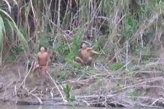 Δείτε αυτή την Φυλή από τον Αμαζόνιο ναβγαίνει για πρώτη φορά από τη ζούγκλα... [video]