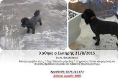 Βοηθήστε να βρεθεί - Χάθηκε ο Σωτήρης...