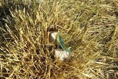 Την τελευταία στιγμή απετράπη νέος εμπρησμός στον Υμηττό