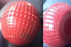 ΠΡΟΣΟΧΗ: Σκύλος έχασε τη ζωή του από ένα παιχνίδι