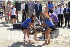 Ηλεία: Η περιπέτεια μιας θαλάσσιας χελώνας caretta - caretta στην Κυλλήνη