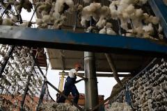 Χωρίς κόστος για τους κτηνοτρόφους η εφαρμογή του θεσμού του Κτηνιάτρου Εκτροφής