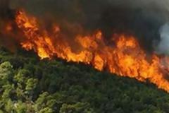 Σε εξέλιξη μεγάλη φωτιά στην Κυπαρισσία