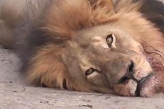 Η Apple απέρριψε ένα νέο παιχνίδι που είχε τίτλο 