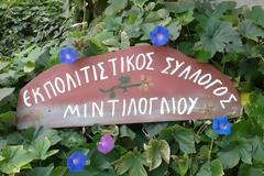 Πάτρα: Γιορτή σταφυλιού στο Μιντιλόγλι με μουσική, χορό και δωρεάν...κρασί!