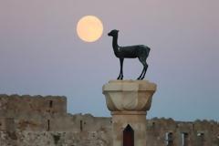 Ρόδος: Η ανήθικη πρόταση του Πακιστανού με τα πλαστά DVD, που εξόργισε τους κατοίκους του νησιού