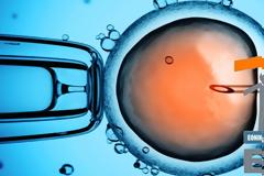 ΕΟΠΥΥ: Πώς θα γίνεται η χορήγηση φαρμάκων για δεύτερη εξωσωματική γονιμοποίηση