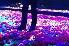 Που θα διασκεδάζουν οι λάτρεις του ελληνικού τραγουδιού - Αναμένονται εκπλήξεις αλλά και χειμωνιάτικες «αφίξεις»