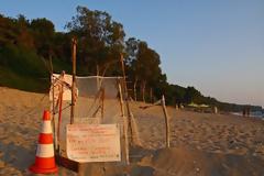 O διάδρομος στην άμμο θα βοηθήσει τα «καρεττάκια» να φτάσουν γρηγορότερα στην θάλασσα