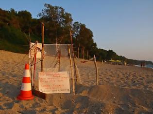Φωτογραφία για O διάδρομος στην άμμο θα βοηθήσει τα «καρεττάκια» να φτάσουν γρηγορότερα στην θάλασσα