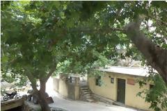 Ξανάφερε τη… ζωή του στο χωριό, μετά από 38 χρόνια