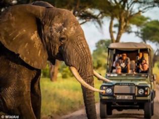 Φωτογραφία για Η λαθροθηρία αποδεκατίζει τους ελέφαντες της Τανζανίας