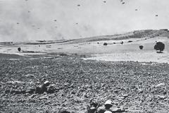 Εντοπίστηκαν οστά αγνοουμένων Ελληνοκυπρίων στα κατεχόμενα