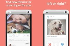 Tindog: Νέα εφαρμογή γνωριμιών… για σκύλους και γάτες